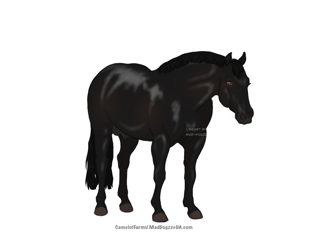 F56-DC10-A-A69-A-4652-BF29-A0295-F3900-A3.png