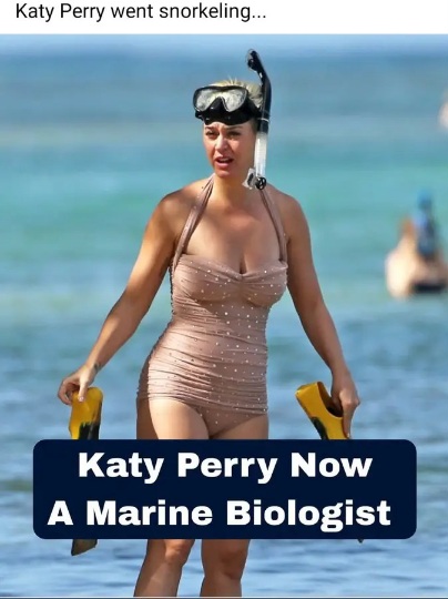 [Image: Perry.jpg]