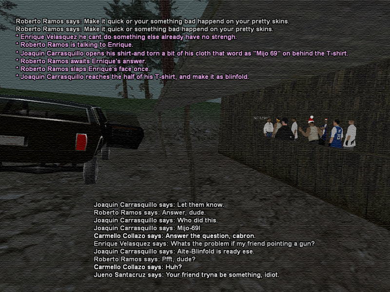 SSRoleplay187.png