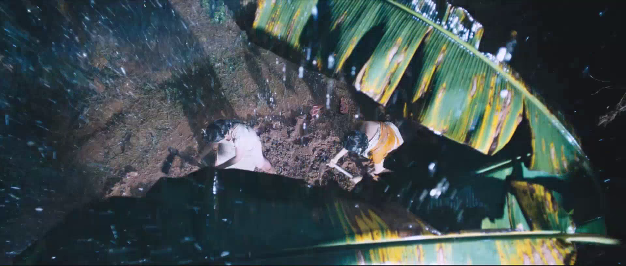 vlcsnap-2025-08-24-12h56m39s863