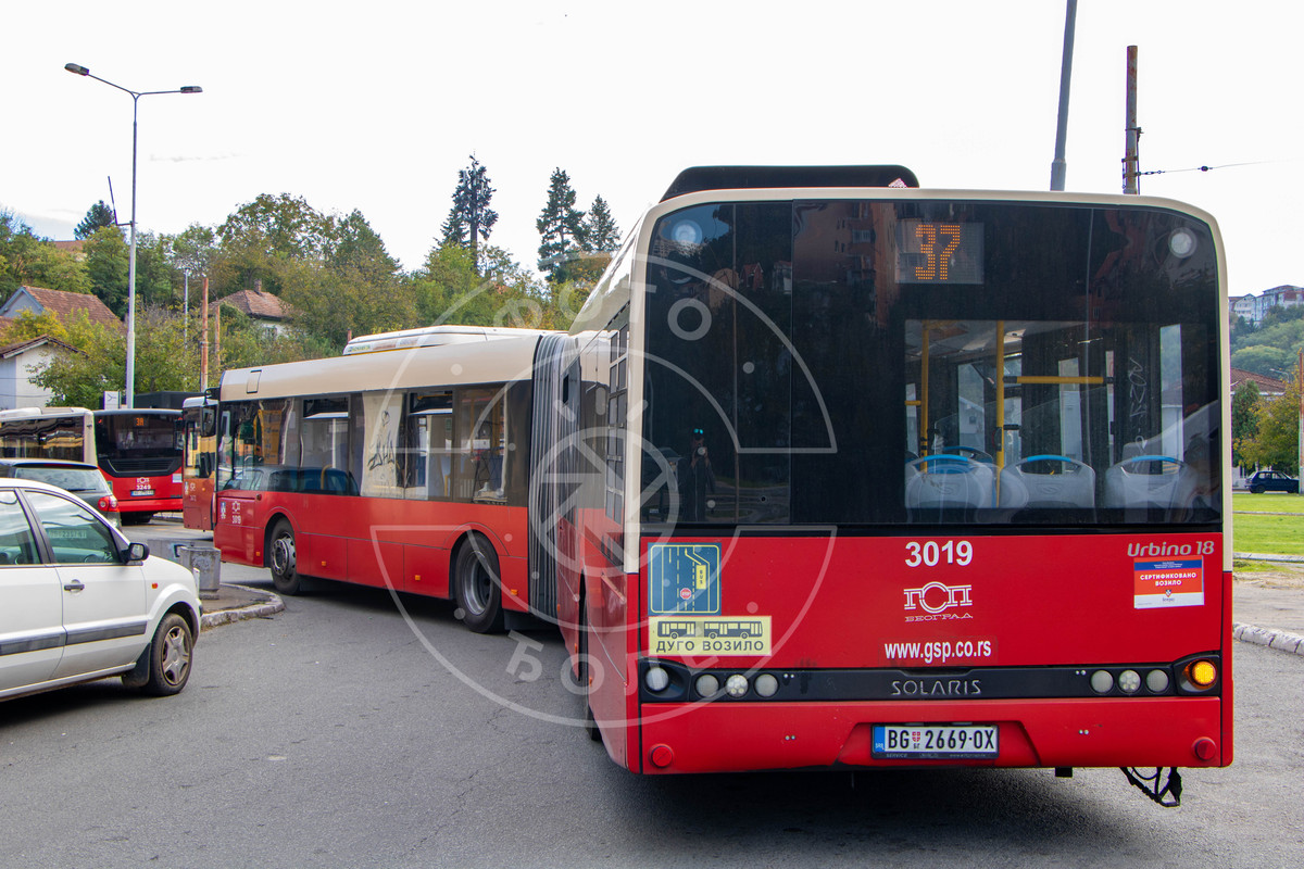 IMG-04021.jpg