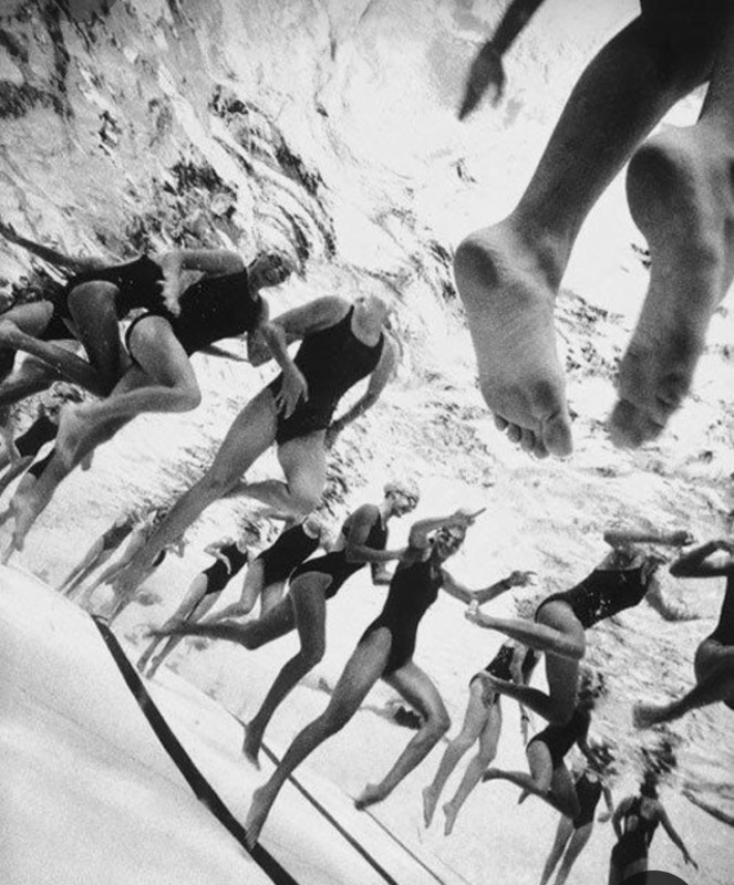 Screenshot_20230221_003739_Pinterest