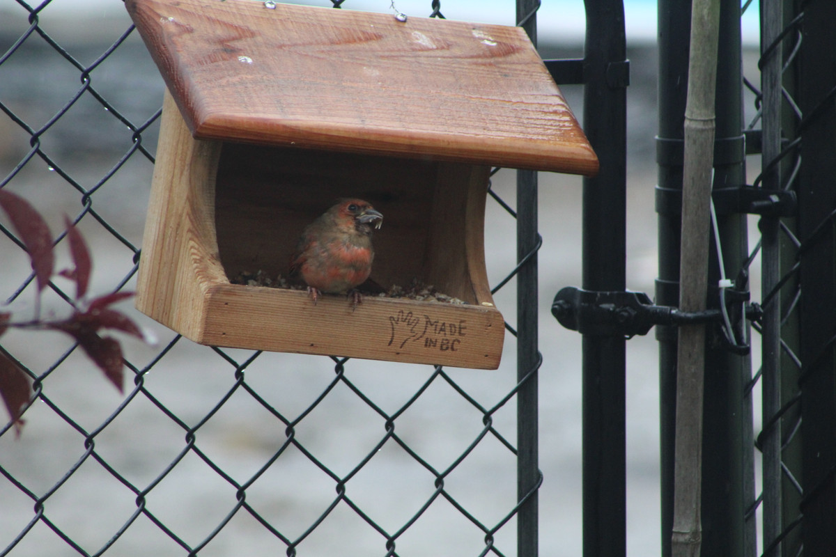 20200804105423_IMG_0728