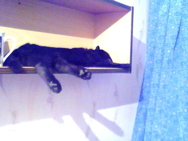 Изображение 002