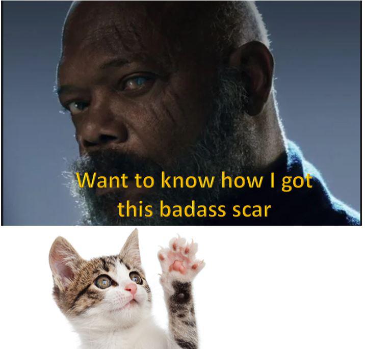 cat-scar