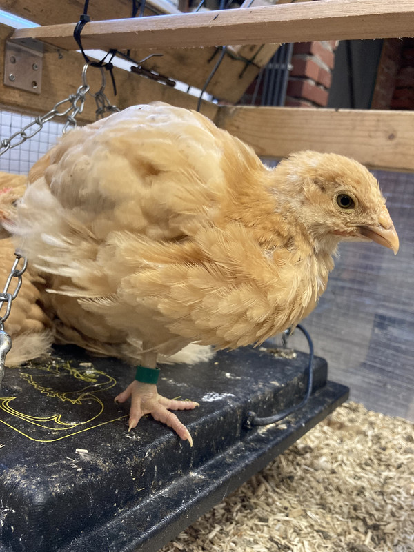 0F751158-FC07-44E8-B78D-C9511ECBC3B2