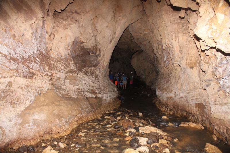 DE TORTUGAS Y PEREZOSOS. COSTA RICA 2019 - Blogs de Costa Rica - DIA 9: CAVERNAS DE VENADO (22)