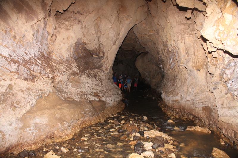 DIA 9: CAVERNAS DE VENADO - DE TORTUGAS Y PEREZOSOS. COSTA RICA 2019 (22)