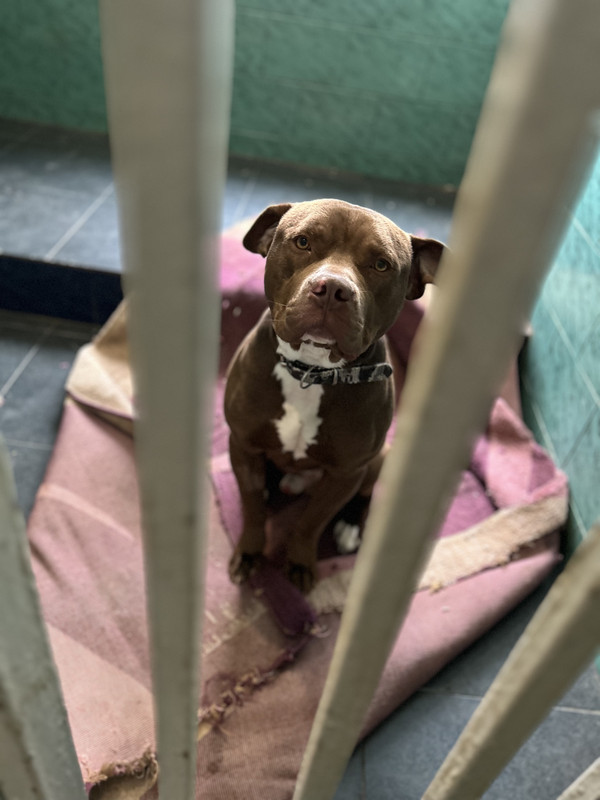 5640A30B-00C5-483A-B8F7-ABBD01416121