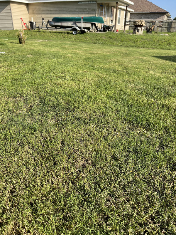 DDBD75 ED 92 A8 4575 8 DCA 6181 E02 F0656 — Postimages