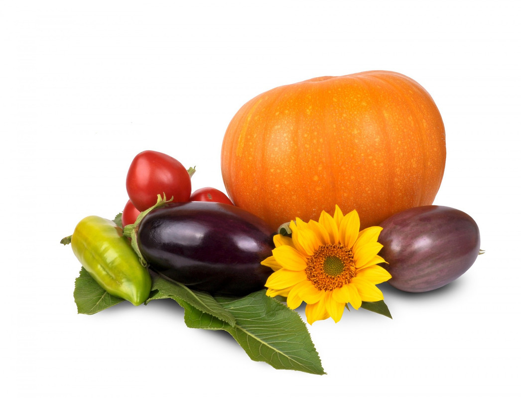 orangepunpkinandveg.jpg