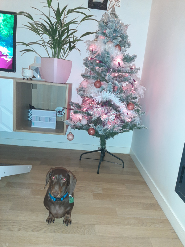 [Image: 20201205-201447.jpg]