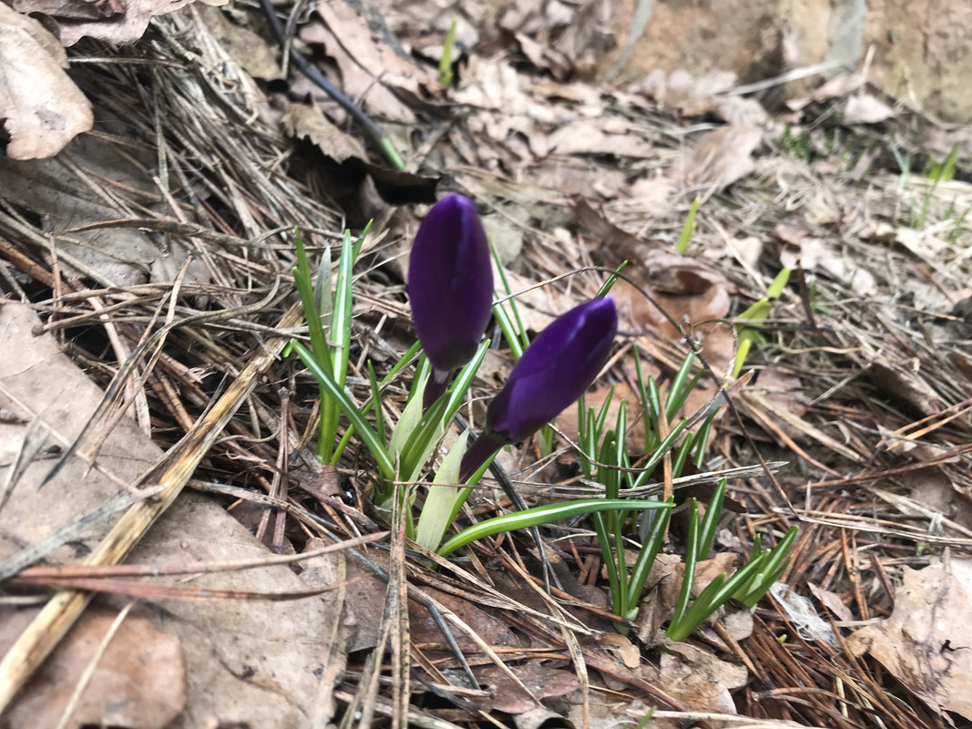 5C2DFE97-961F-44B9-8387-668C3E775FDF