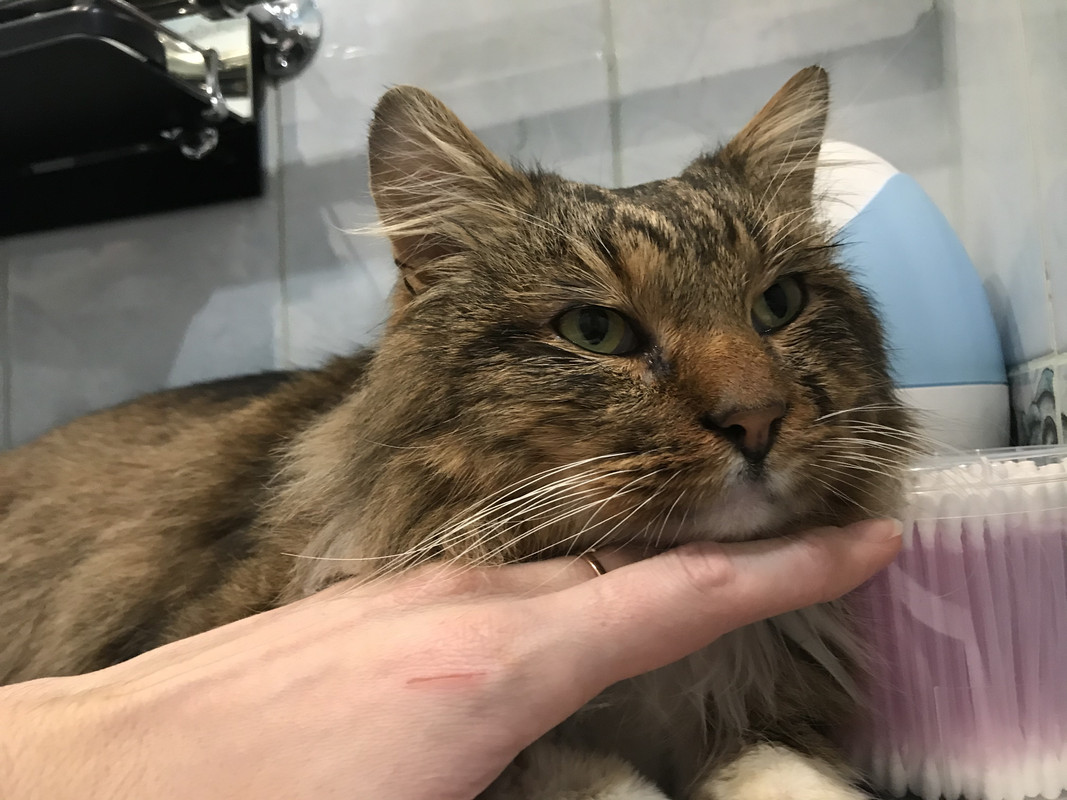 97FB9295-7450-4498-91A6-2C3D00A17250