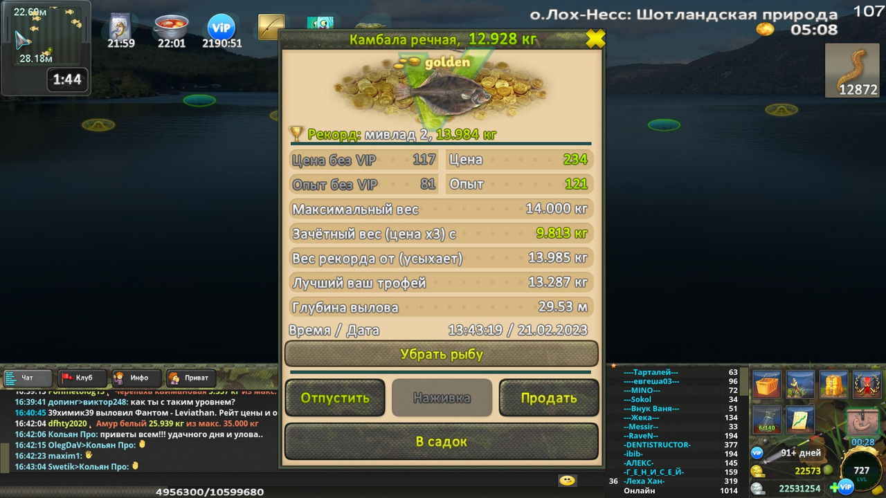 Камбала речная зачёт на нереис