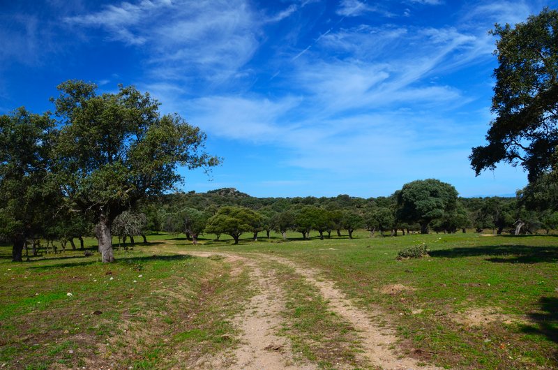 CANCHO DE VALDECASTILLO-14-6-2023 - Extremadura y sus pueblos -2010-2023 (25)