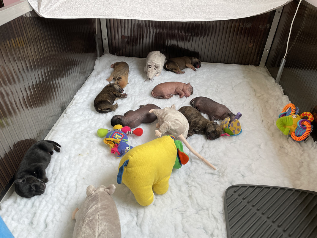 A8B5AF42-C384-4E8A-9E2E-A7FD4A37B28A