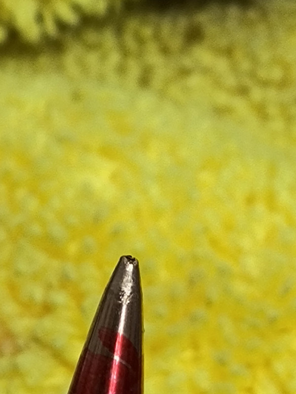 IMG_20241226_163300790