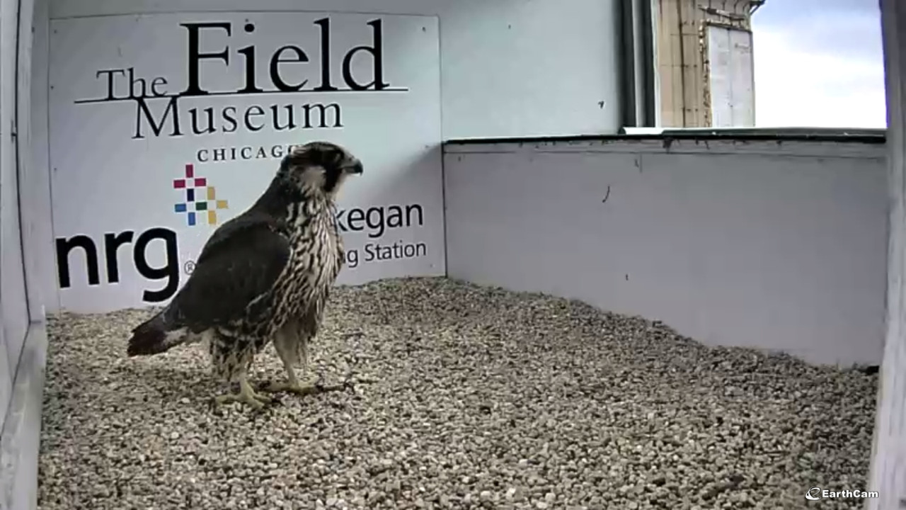 capture_16072017_214153