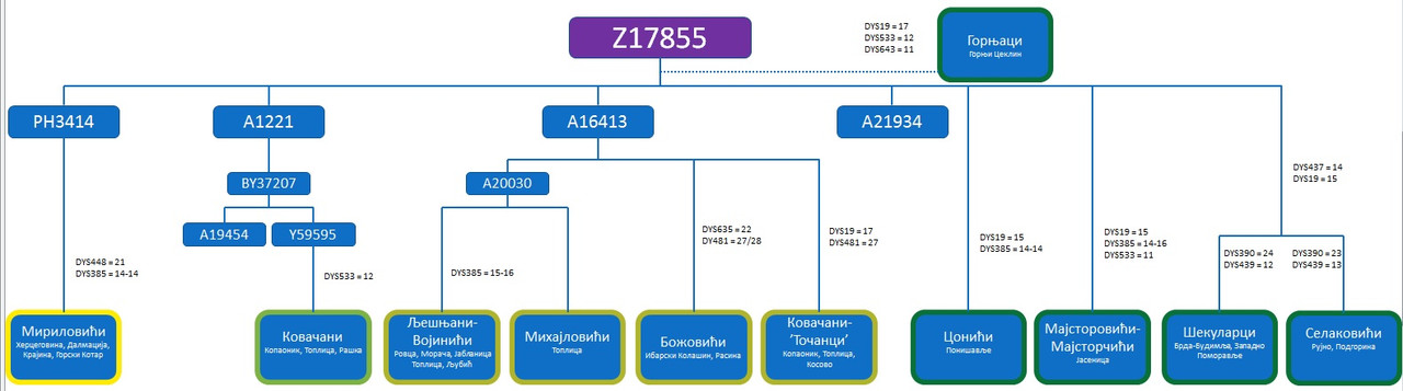 z15855....