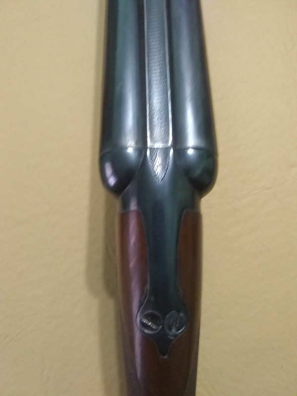 IMG_20190627_122643517