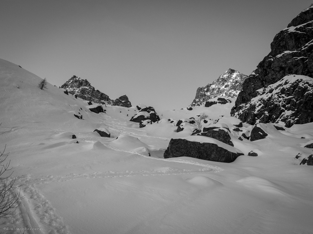 DSCF0969