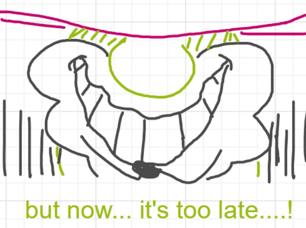 A panel from The Prime Number Few, episode eight of the Board Boards object show by Furretwalk/WalkingFurret.