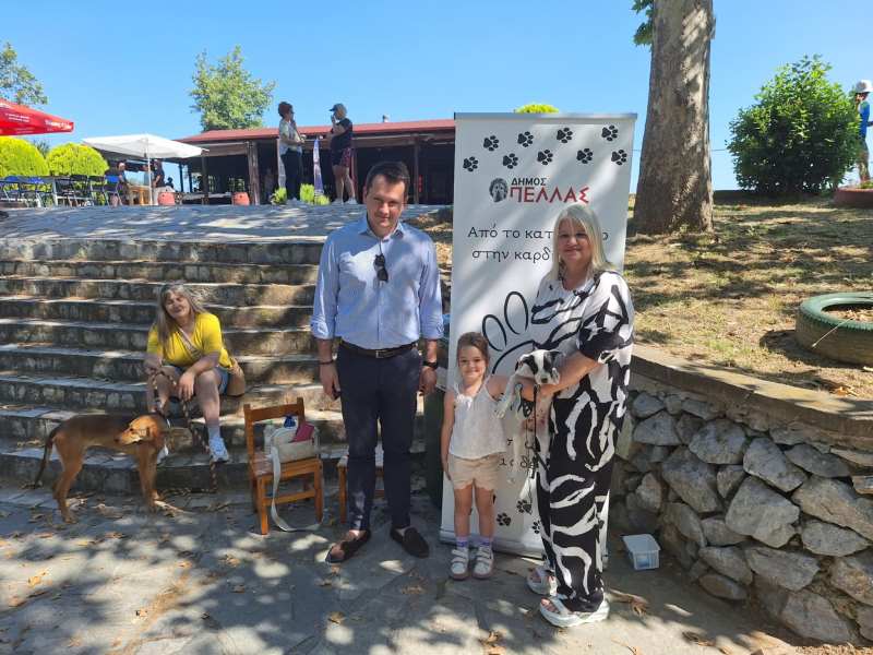 84b68a31-3bd1-4cac-8bb1-94c4b30dfed7