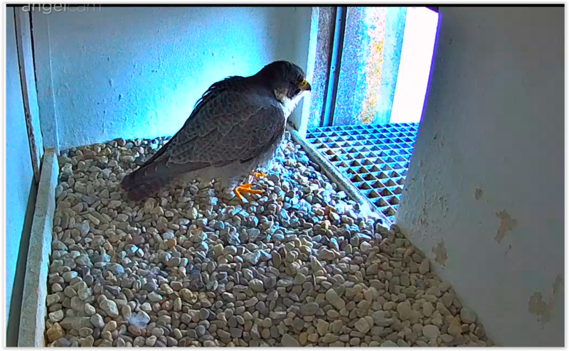 Screen Shot 01-03-25 at 09.12 AM