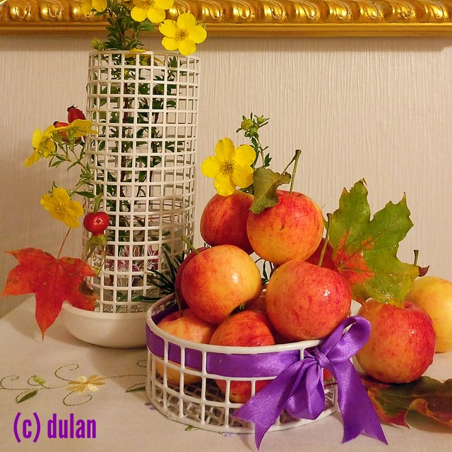 [Image: IMG-20230911-001117.jpg]