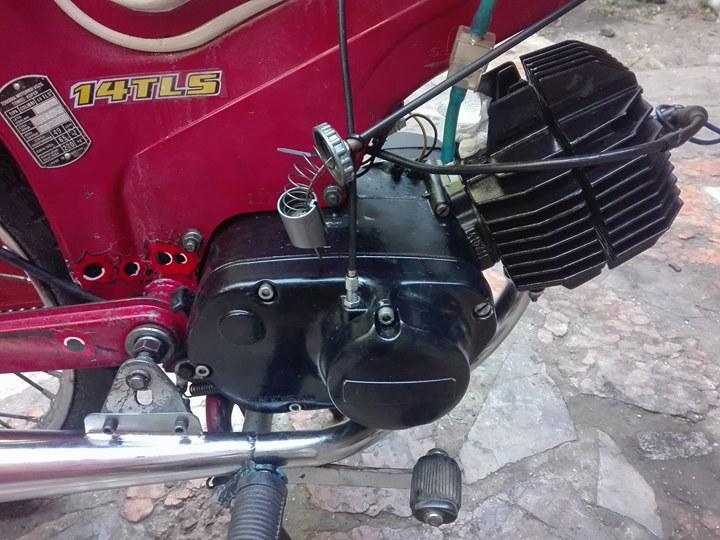 21074021_10209914294593362_768289892_n