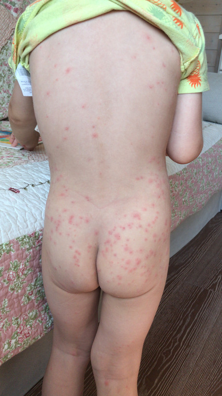 B126E949-5850-4739-8970-38F755B4C613