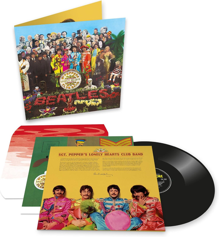 91yQxupWfdL._AC_SL1500_