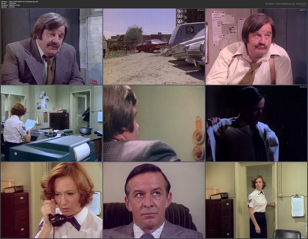 Bluey (1976) S01E01 The First Bloody Day.mkv