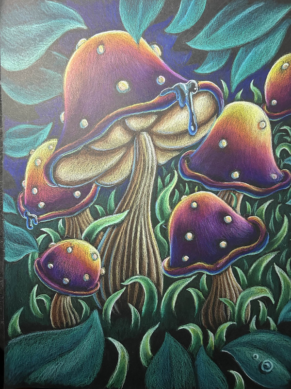 Mystical Mushrooms