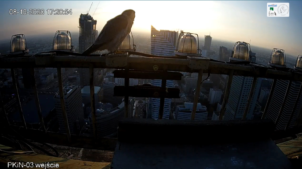 bandicam 2020-10-08 17-21-22-701