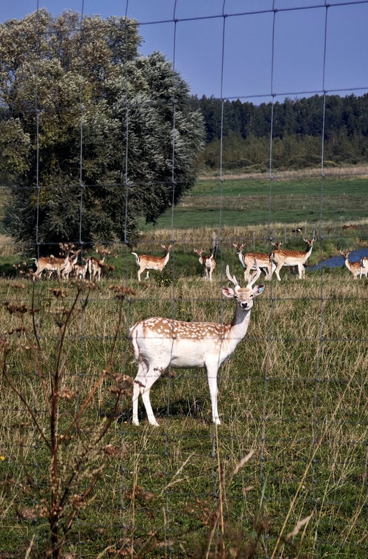 Skype_Picture_2024_11_12T05_03_27_678Z