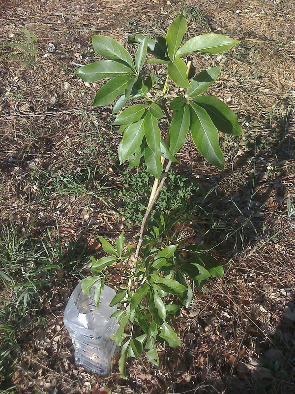 foto0124