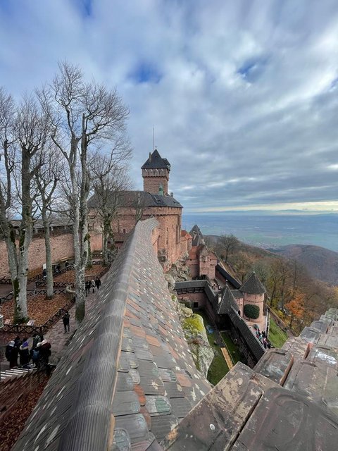 Puente de la Inmaculada 2022 en Alsacia - Blogs de Francia - ALSACIA EN NAVIDAD VISITANDO EL CASTILLO DE ALSACIA, COLMAR Y ESTRASBURGO. (3)