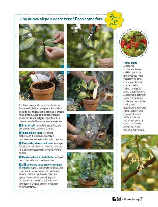 Pol Ver Ago 2025 (6)