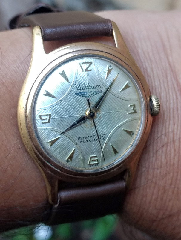 IMG_20200529_080534995~2