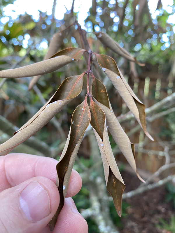 12534CA4-7743-474A-BE9A-6A7B80DEA9BB