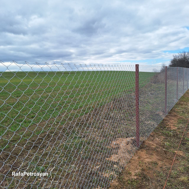 Забор из сетки-рабицы