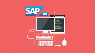 SAP ERP Become an SAP S4 HANA Certified Consultant - Pro SAP ERP Become an SAP S4 HANA Certified Consultant - Pro