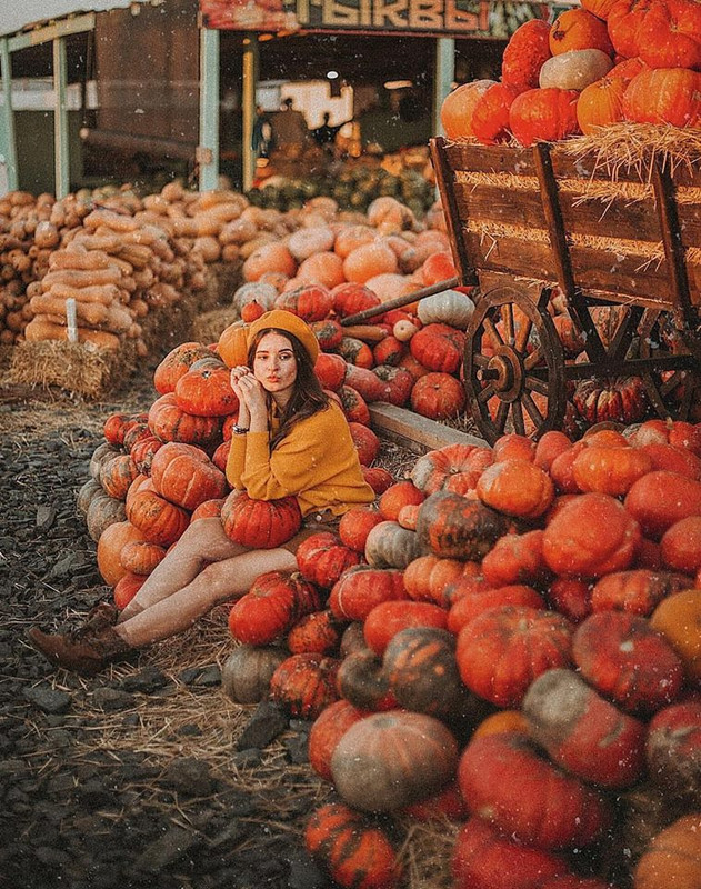 ���� ���� ������ �� ���� ������