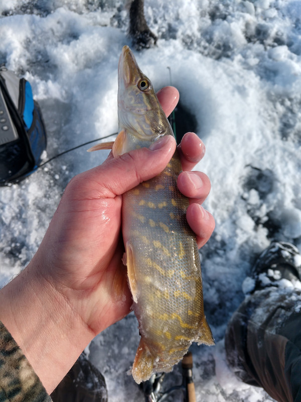 IMG_20201214_110553003_HDR