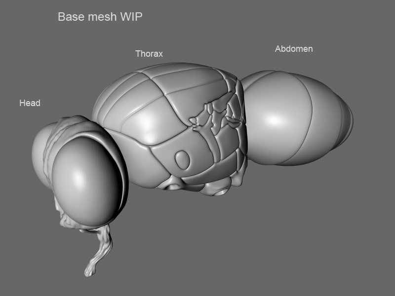 6fly-wip-Base-Mesh.jpg