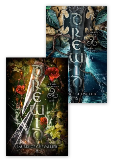 Drewid-T3-T4-VF-Laurence-Chevallier-epub.jpg