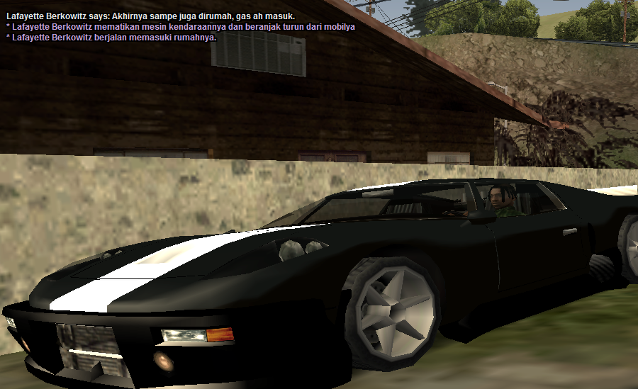 sa-mp-008.png