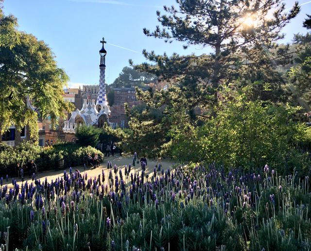 1-B5665-AC-66-F0-4-DF5-AB67-ED24-BB282-B